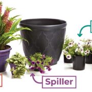 Fillers and Stuffers For Potted Flowers