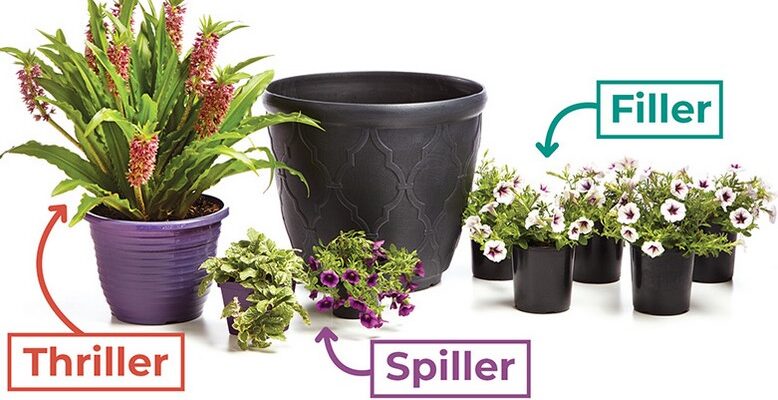 Fillers and Stuffers For Potted Flowers