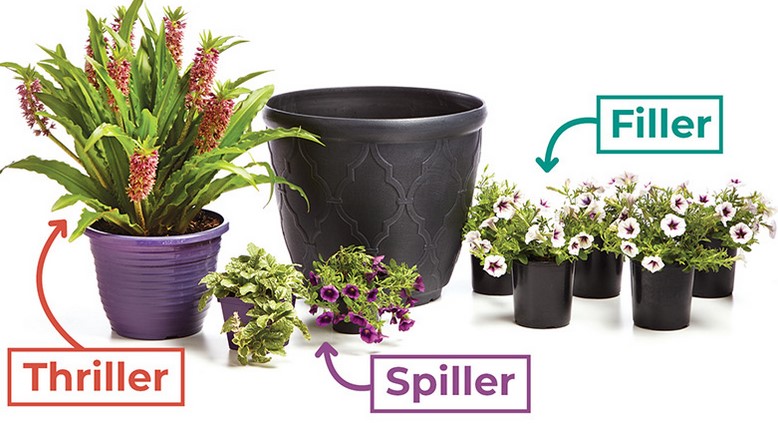 Fillers and Stuffers For Potted Flowers