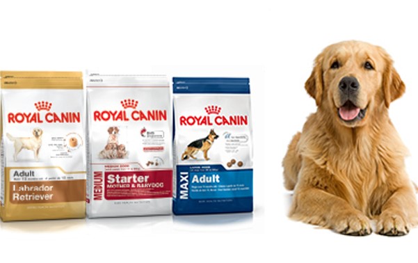 Is Royal Canin good for digestion?