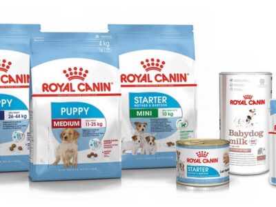 Royal Canin Dog Food Benefits